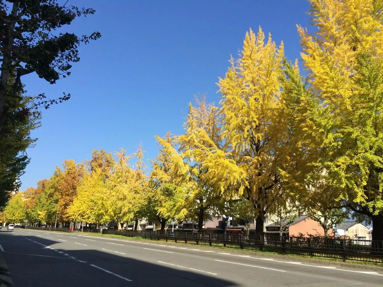 京都市 一条premiumヴィラ 0*,  日本