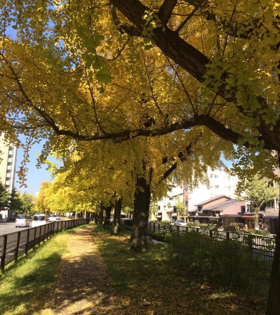別荘 京都市 一条premiumヴィラ